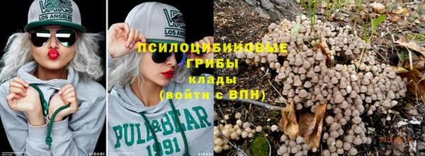 apvp Алексеевка