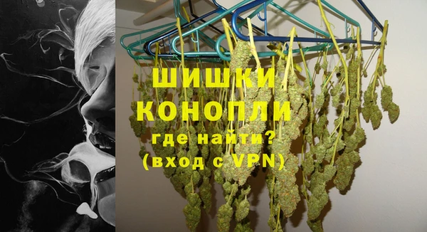 шишки Алзамай