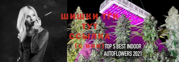 шишки Алзамай