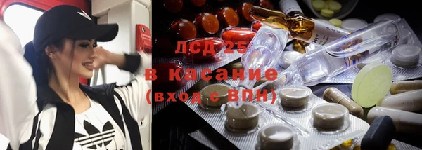 шишки Алзамай