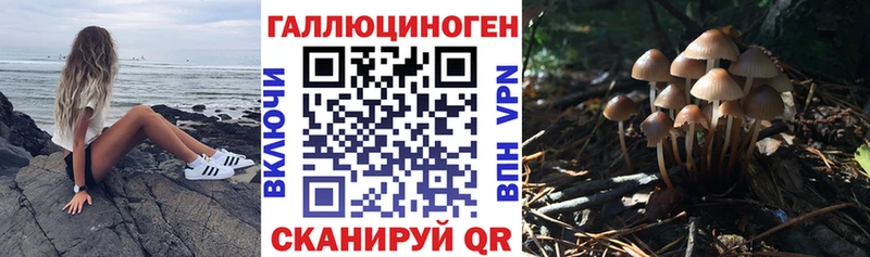 Псилоцибиновые грибы Magic Shrooms  цена   shop официальный сайт  Заволжск 